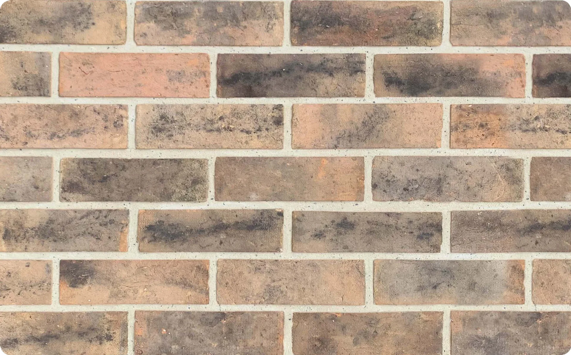 Suburbian Oakleaf Rock Main View