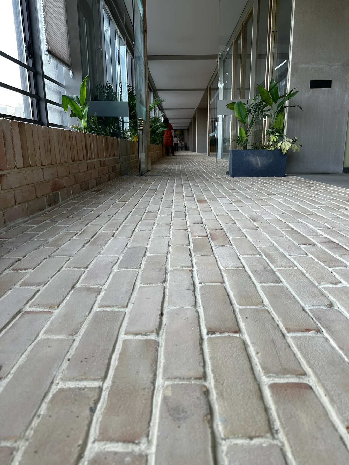 Palak Prime perspective 4