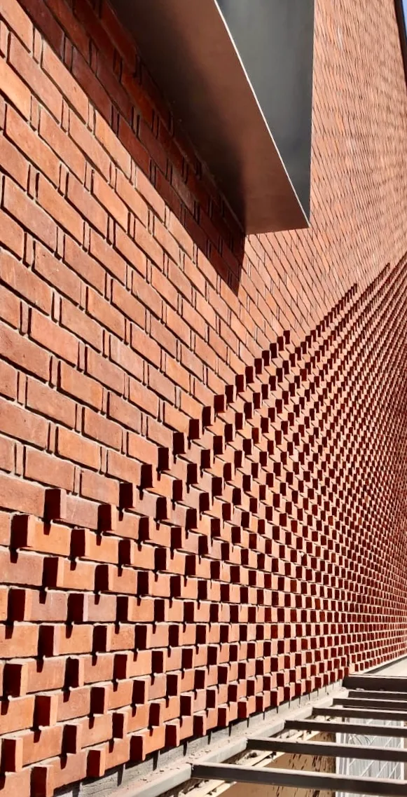Cuticos perspective 1