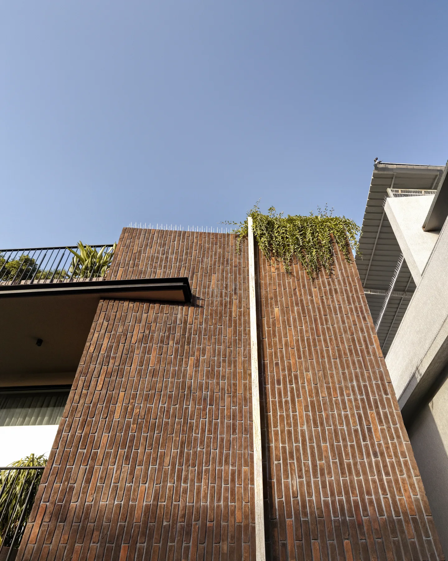 Brick Brown Residency perspective 3